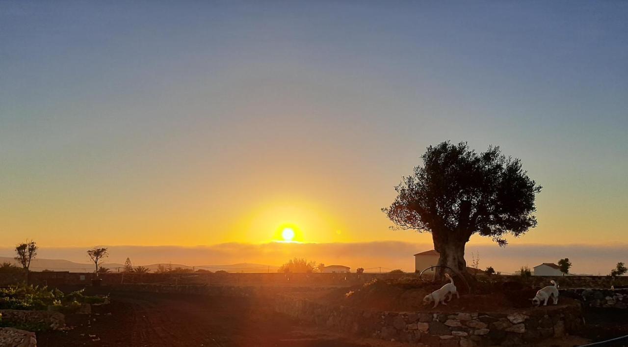Agriturismo El Bounty1 Puerto del Rosario  Εξωτερικό φωτογραφία