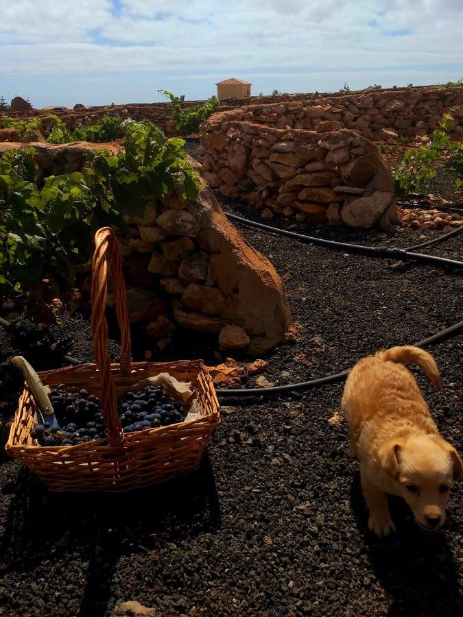 Agriturismo El Bounty1 Puerto del Rosario  Εξωτερικό φωτογραφία