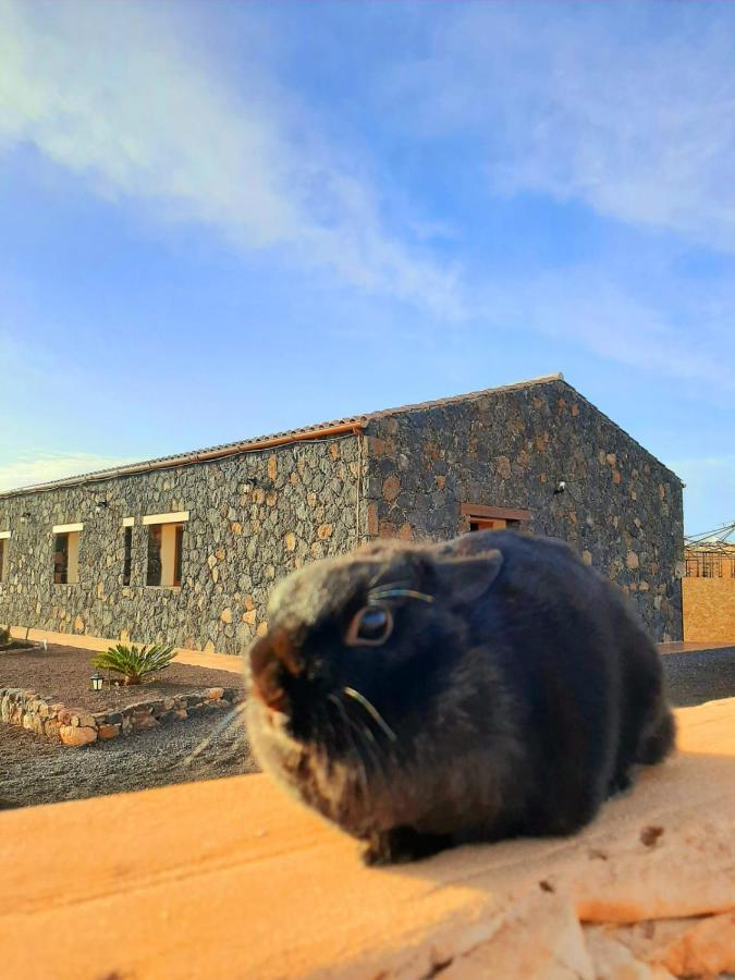 Agriturismo El Bounty1 Puerto del Rosario  Εξωτερικό φωτογραφία