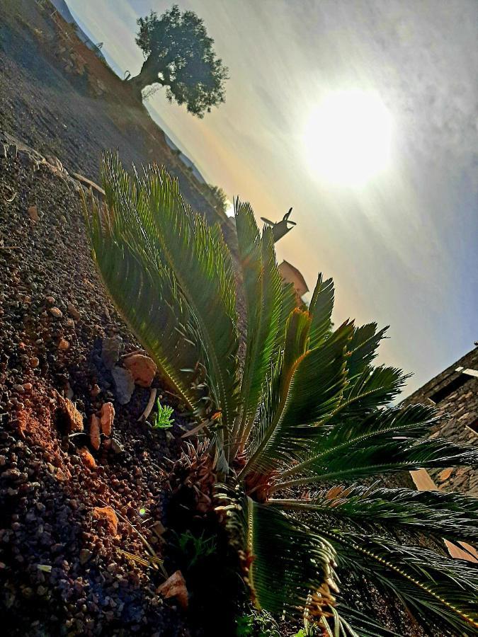 Agriturismo El Bounty1 Puerto del Rosario  Εξωτερικό φωτογραφία