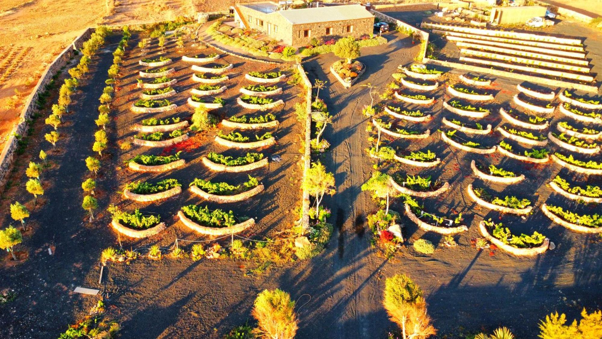 Agriturismo El Bounty1 Puerto del Rosario  Εξωτερικό φωτογραφία